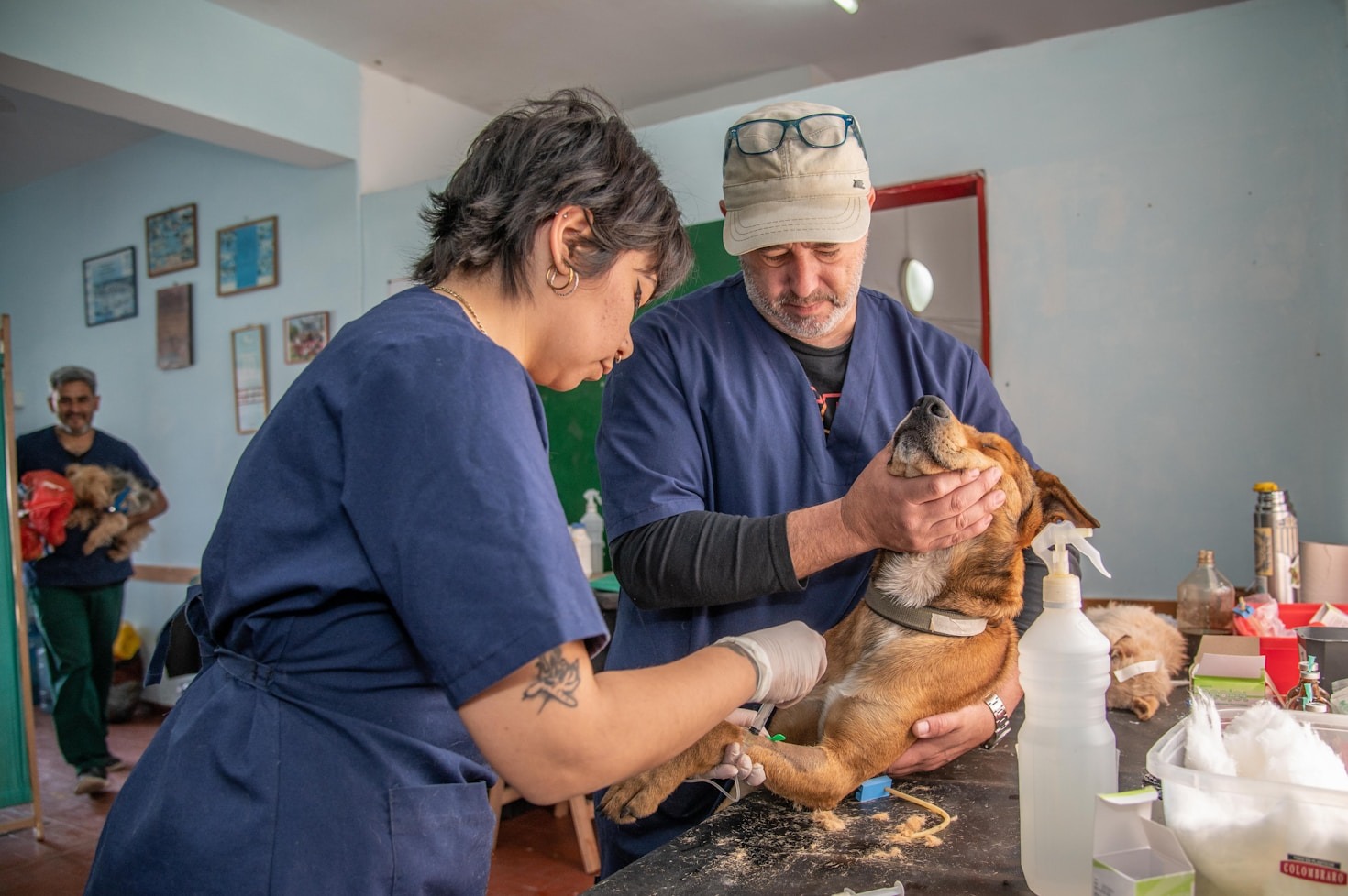 The Importance Of Reliable Pet Transportation Services