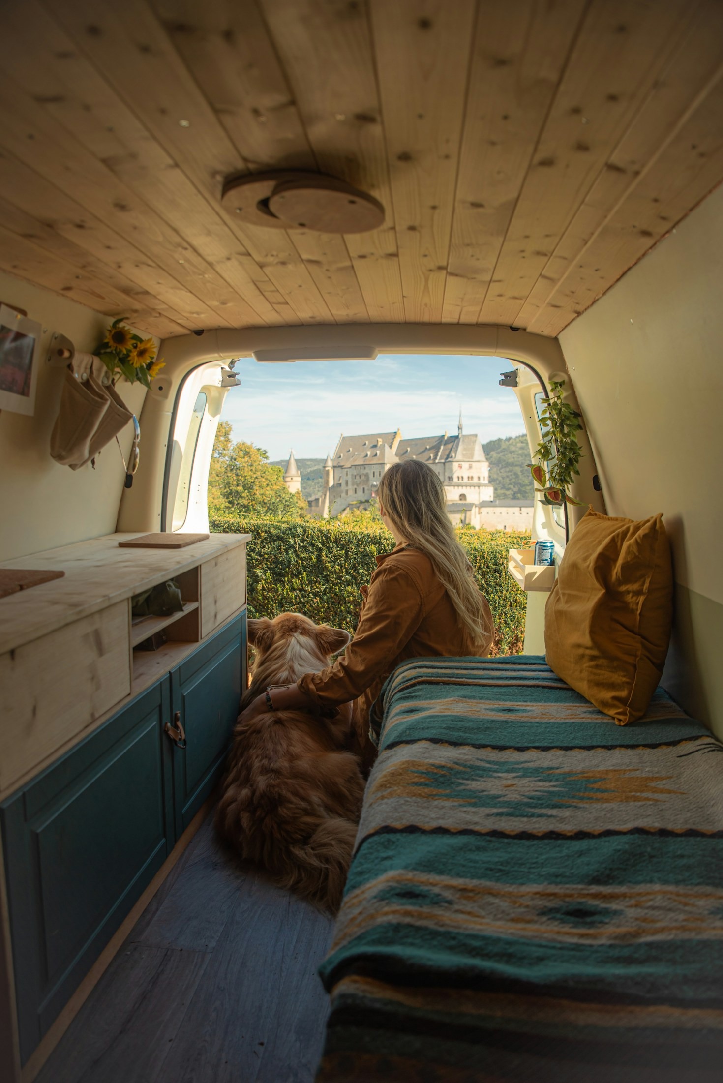 Why Professional Care Matters For Your Cat